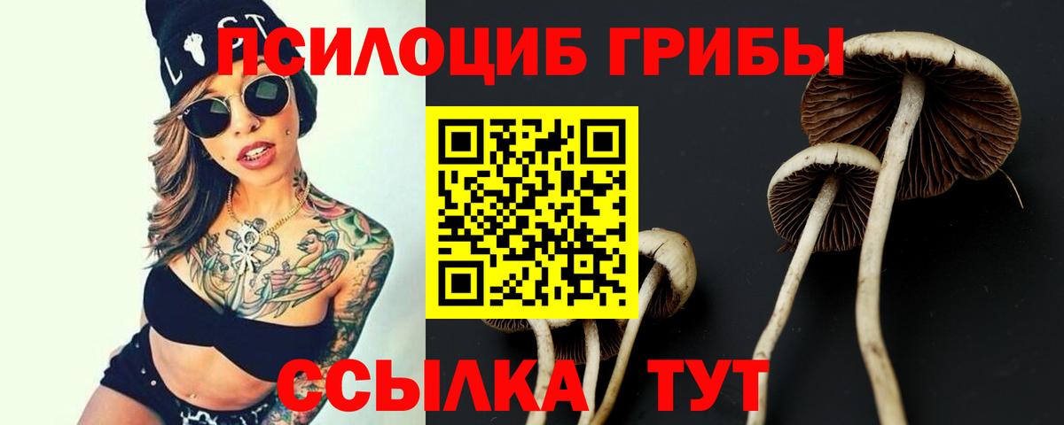 Ирбит  Галлюциногенные грибы Psilocybe  Вход с VPN 